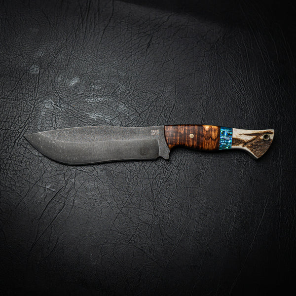 Bear Knife – Gidgee, Abalone and Antler