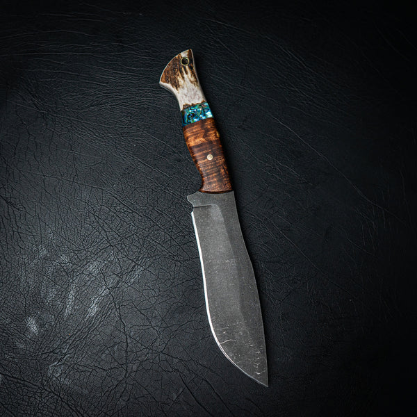 Bear Knife – Gidgee, Abalone and Antler