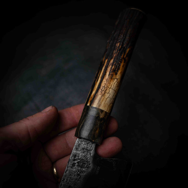 Gyuto | 52100 San Mai, Dyed Curly Birch & Deer Antler