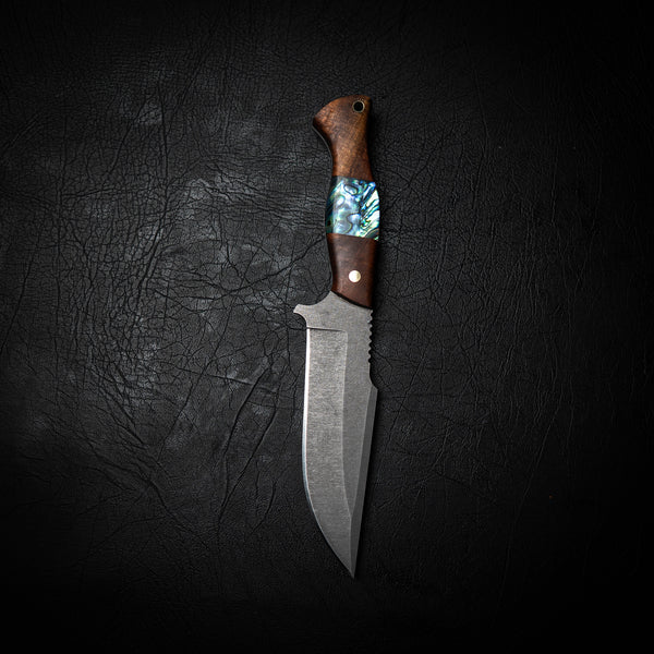 Hunter Knife – Exotic Ringed Gidgee with Abalone Shell Inlay