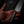 Santoku | 12C27 Stainless, Dark Maple Burl & African Blackwood