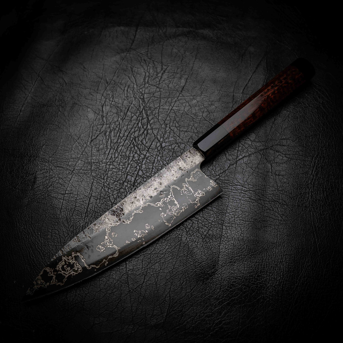 Gyuto | 52100 San Mai, Snakewood & Black Buffalo Horn Wa Handle