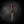 The Crow — Fire Orange Birch