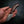 Mini Skinner — Elmax | Full Ringed Gidgee