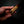 Tanto Kitchen Knife — Amboyna Burl & Ebony Wa Handle