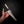 Tanto Kitchen Knife — Curly Myrtle & Ebony Wa Handle