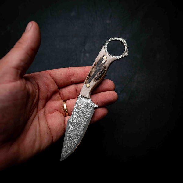Mini Hunter — Damascus & Fallow Deer Antler