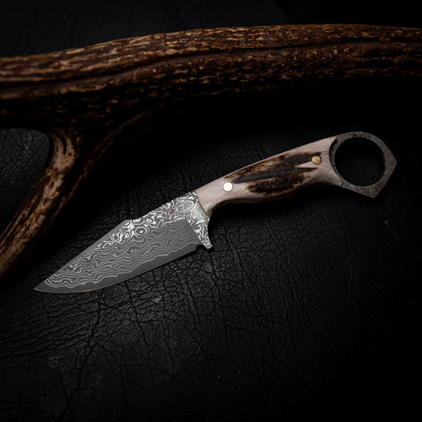 Mini Hunter — Damascus & Fallow Deer Antler