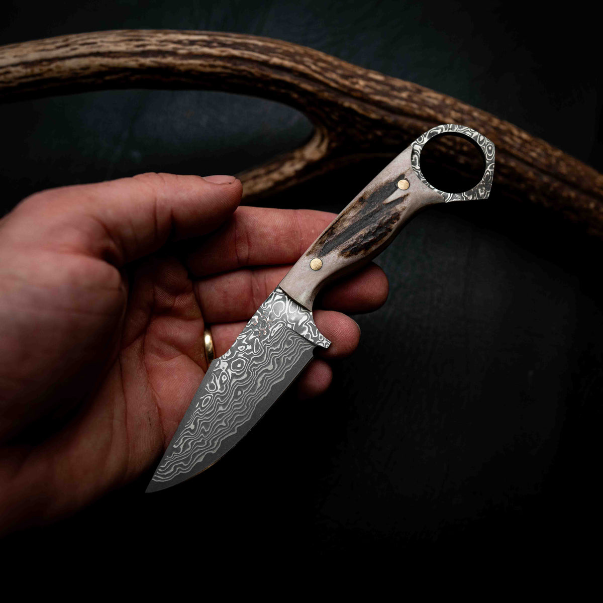 Mini Hunter — Damascus & Fallow Deer Antler