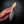 The Talon — Figured Stabilised Spalted Maple
