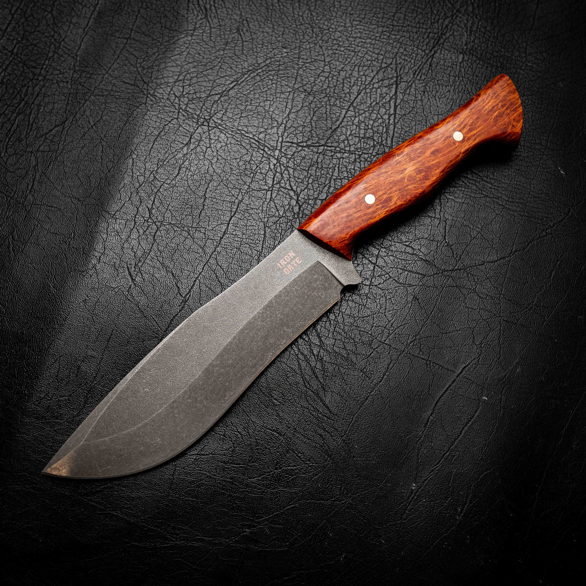 Bear Knife — Lace Sheoak
