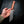 Bear Knife — Lace Sheoak