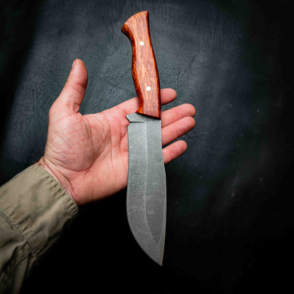 Bear Knife — Lace Sheoak