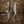 The Ringer — Full Deer Antler