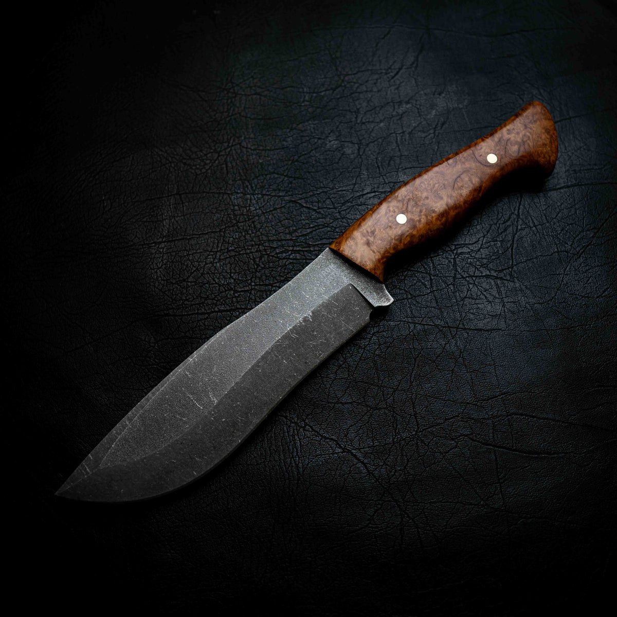 XL Bear — Mallee Burl