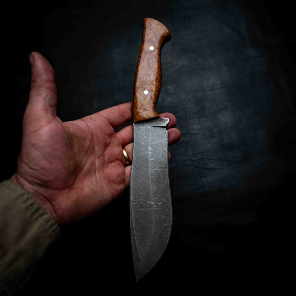 XL Bear — Mallee Burl