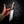 XL Bear — Ringed Gidgee | Acid-Stained Blade