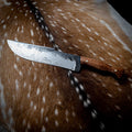 Giant Custom Hunter — Damascus & Master Grade Tasmanian Blackwood