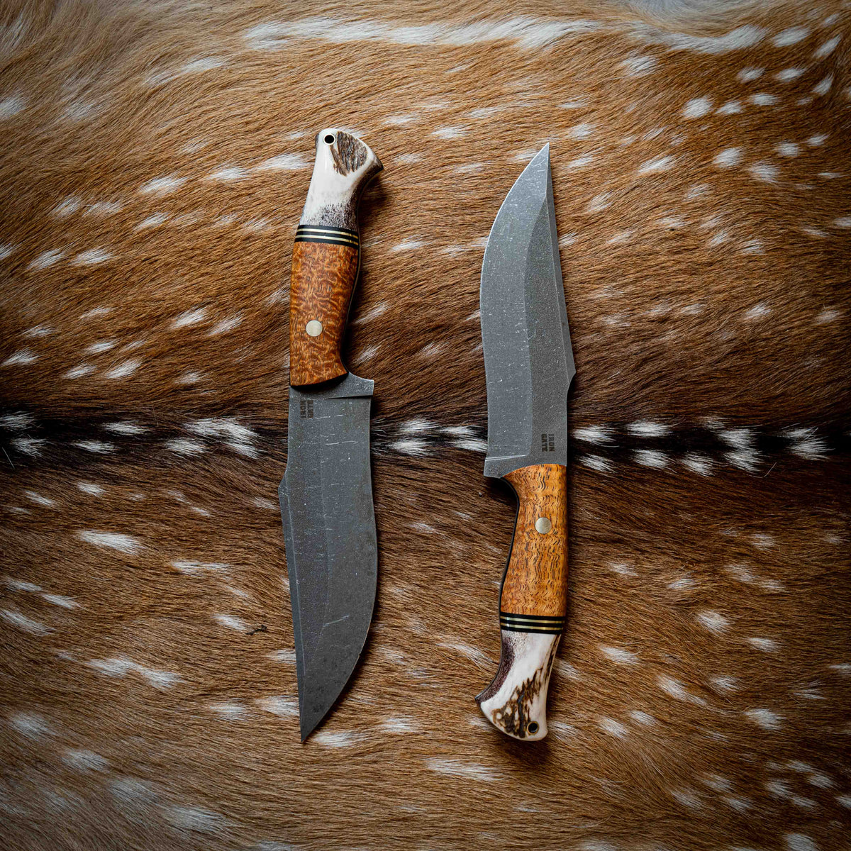 Large Hunter — Afzelia Xylay, Brass, Black G10 & Deer Antler
