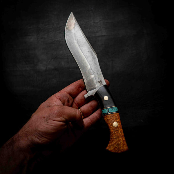 Recurve Bowie — Buffalo Horn, Turquoise TruStone, Brass & Afzelia Xylay