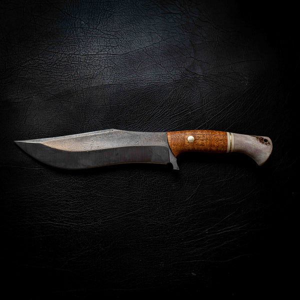 Recurve Bowie — Afzelia Xylay, Brass, Ivory G10 & Deer Antler