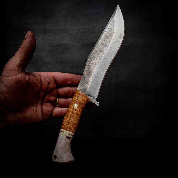 Recurve Bowie — Afzelia Xylay, Brass, Ivory G10 & Deer Antler