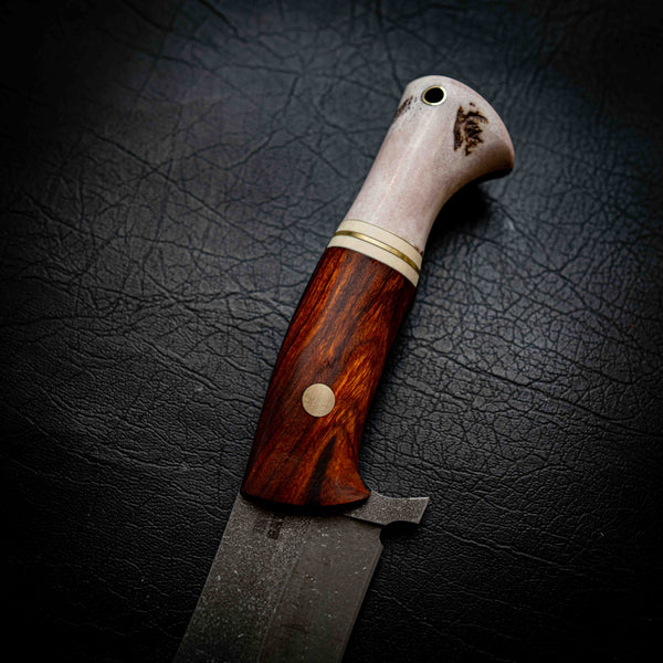 Recurve Bowie — Arizona Ironwood, Brass, Ivory G10 & Deer Antler