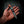 Wedgetail — Black G10, Turquoise TruStone & Amboyna Burl