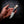 Mini Skinner — Dark Stabilised Birch, Brass & Deer Antler