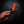 Paracord Utility Knife — Orange Paracord