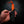 Paracord Utility Knife — Orange Paracord