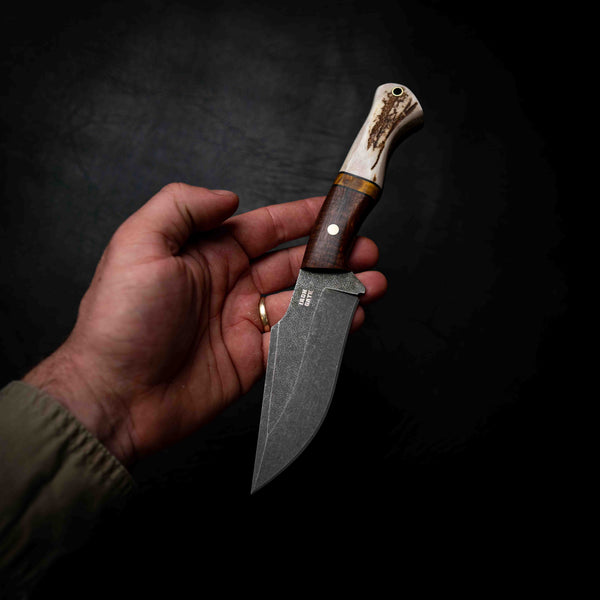 Wide Hunter — Ringed Gidgee, Yellow Dyed Birch & Deer Antler