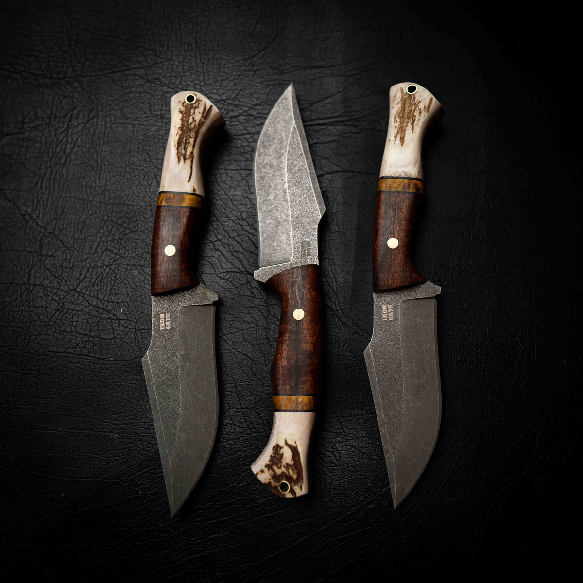 Wide Hunter — Ringed Gidgee, Yellow Dyed Birch & Deer Antler