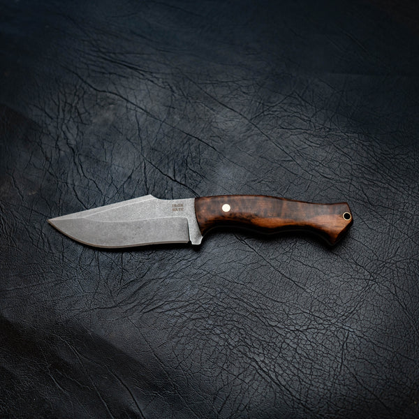 Wide Hunter — Tasmanian Myrtle