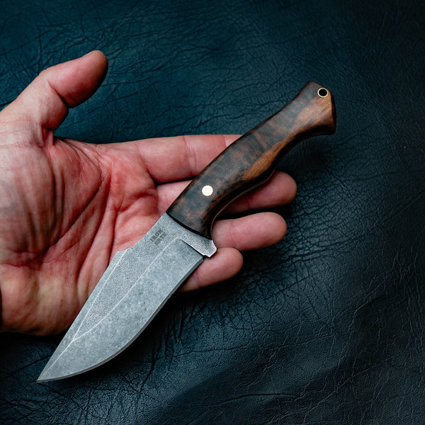 Wide Hunter — Tasmanian Myrtle