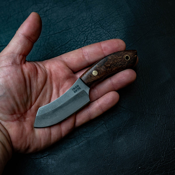 Notch — Banksia