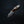The Talon — Amboyna Burl & Fallow Deer Antler