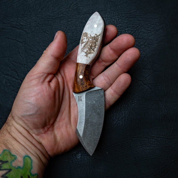 The Talon — Amboyna Burl & Fallow Deer Antler