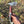 Carbon Steel Tomahawk - Ringed Gidgee and G10