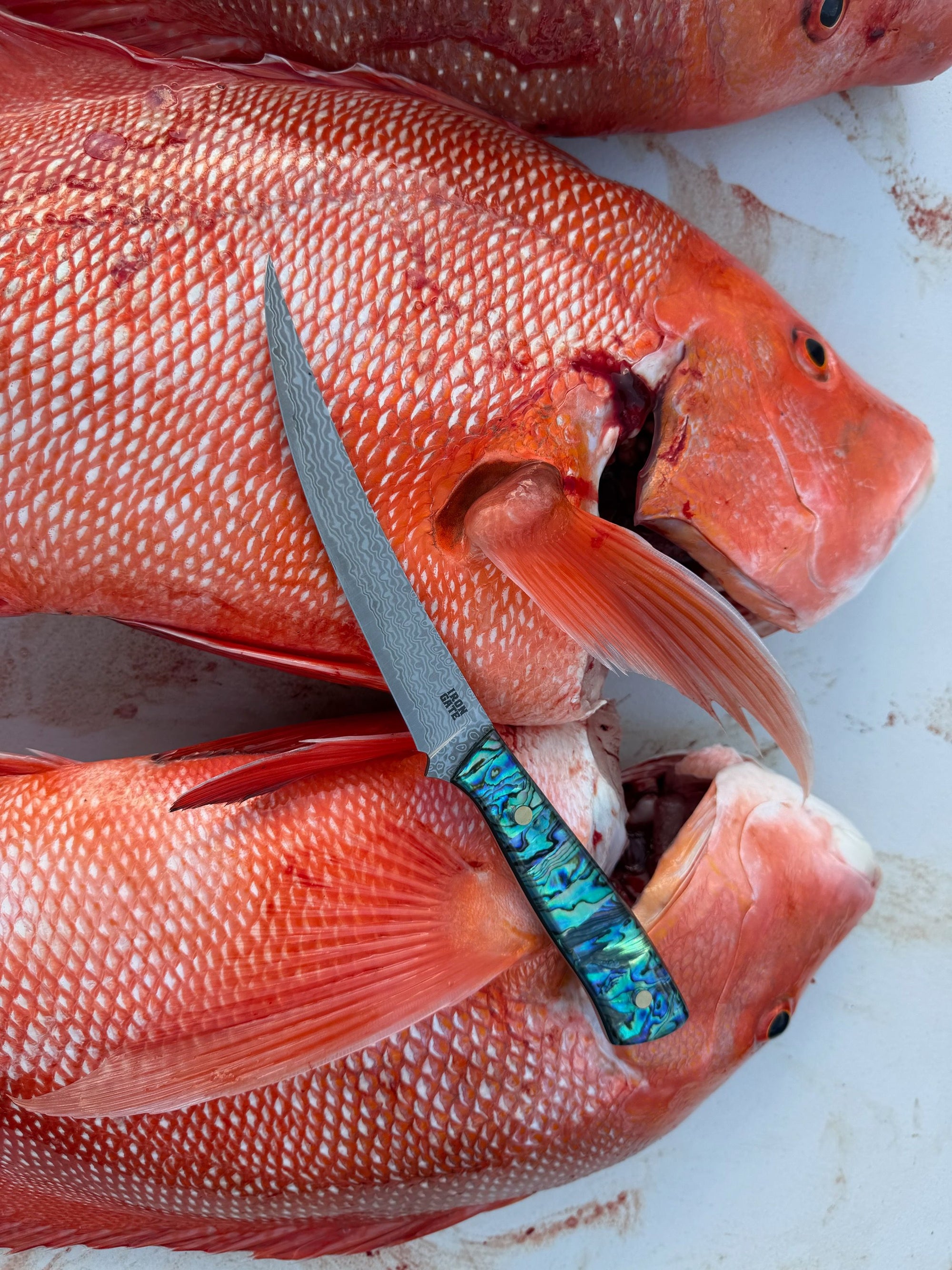 Stainless. Sheathed. Saltwater-grade.