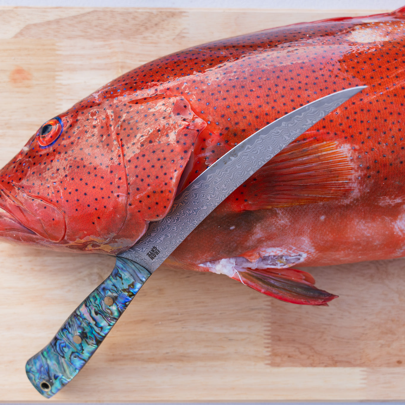 Saltwater & Fillet Knives — Iron Gate Knives | Built for the Boat