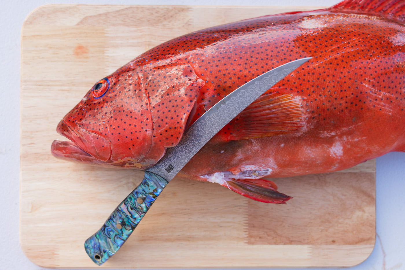 Pre-Order — Mako Fillet — Damascus San Mai & Abalone — Alternate view | Iron Gate Knives