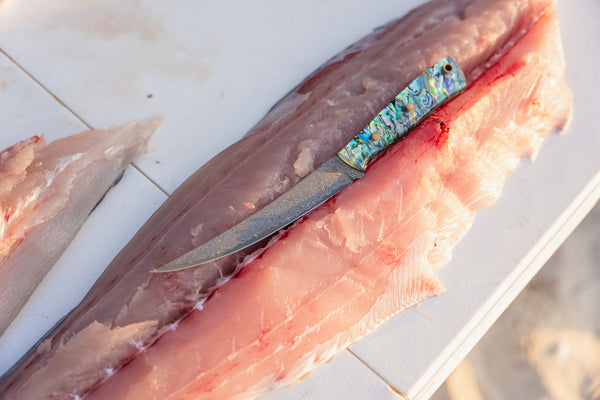 Pre-Order — Abalone (Paua) Saltwater Boning/Fillet Knife