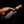 Hunter — Black & Gold Restone with Vintage Ivory G10 — View 5 | Iron Gate Knives