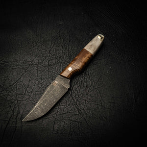 Scout — Curly Acacia & Fallow Deer Antler — Iron Gate Knives | Handmade in Australia