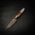 Pre-Order — Scout — Curly Acacia & Fallow Deer Antler