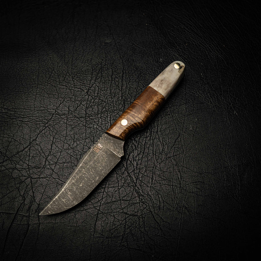 Scout — Curly Acacia & Fallow Deer Antler