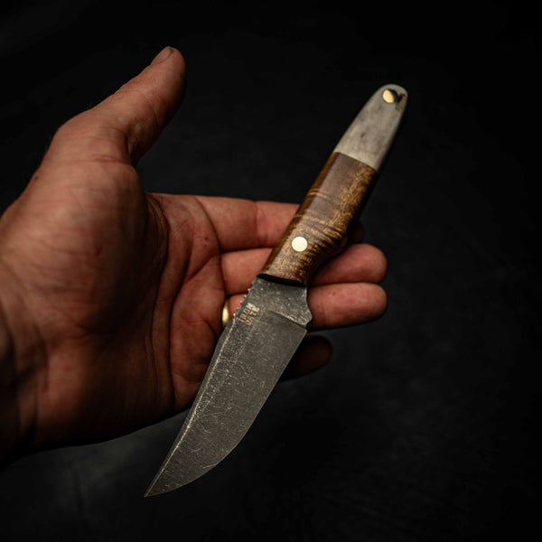 Scout — Curly Acacia & Fallow Deer Antler — View 5 | Iron Gate Knives