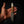 Scout — Curly Acacia & Fallow Deer Antler — In-hand view | Iron Gate Knives