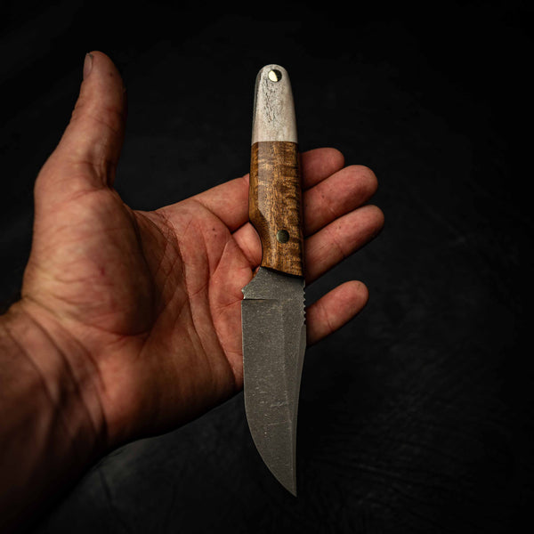 Scout — Curly Acacia & Fallow Deer Antler — In-hand view | Iron Gate Knives